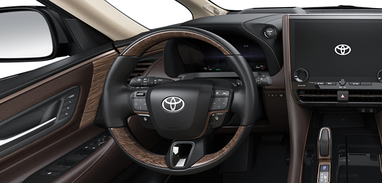 noi-that-toyota-alphard-5